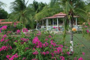 a garden with pink flowers and a gazebo at Hotel La Arena in Liberia