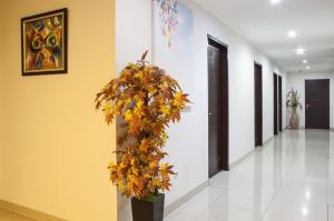 Fotografie z fotogalerie ubytování RedDoorz near Gedung Sate 2 v destinaci Bandung