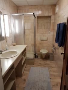 ein Bad mit einem Waschbecken, einer Dusche und einem WC in der Unterkunft Hotel Zum Schwanen in Leimen