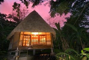 a small hut with a thatched roof at night at The Barefoot At Havelock in Havelock Island
