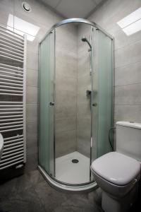 uma casa de banho com uma cabina de duche em vidro e um WC. em Dom Zdrojowy em Ciechocinek
