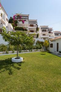 a green yard with a tree in the middle of a building at Maistros Suites - Péra in Skopelos Town