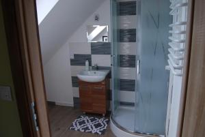 a bathroom with a sink and a shower at Kamienna Zagroda in Białowieża +20 photos
