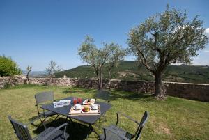 a table and chairs in a field with a tree at Fattoria L' Aquilone in Poggio Aquilone