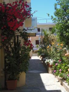 A garden outside Angelica Studios and Apartments
