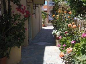 A garden outside Angelica Studios and Apartments