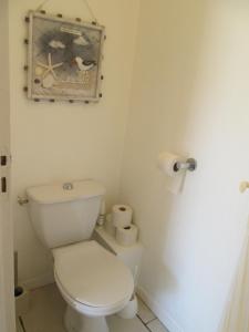 a bathroom with a toilet and a picture on the wall at Résidence AMARINE in Capbreton +17 photos
