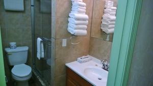 W łazience znajduje się toaleta, umywalka i prysznic. w obiekcie Top of the Beech Inn w mieście Beech Mountain