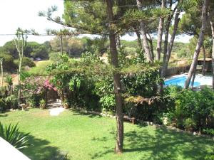einen Garten mit einem Baum und einem Pool in der Unterkunft Garden Cottage at Casa Madden in Marbella