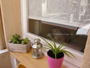 a window sill with two potted plants on it at Apartament Conde Güell in Barcelona