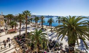 an aerial view of a beach with palm trees at Apartment Satus in Podstrana