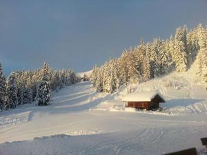a cabin on a snow covered hill with trees at Gasthaus Furlhütte in Vipiteno
