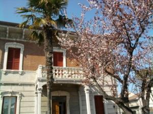 budynek z palmą przed nim w obiekcie Villa Marietta w mieście Civitanova Marche