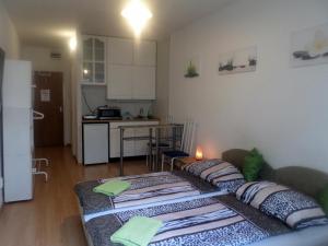 Kuchyňa alebo kuchynka v ubytovaní Apartments Leslie