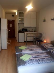 Kuchyňa alebo kuchynka v ubytovaní Apartments Leslie