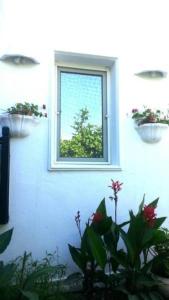 a window in a white wall with plants in front of it at Emelce Apart in Bodrum City