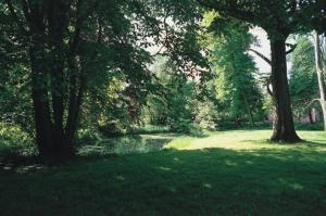 ein Park mit Bäumen und einem Wasserkörper in der Unterkunft Broholm Castle in Gudme