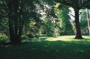 een park met bomen en water bij Broholm Castle in Gudme