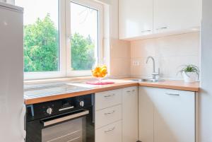 Kuchyň nebo kuchyňský kout v ubytování Apartments Windrose