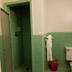 Koupelna v ubytování Greenwell Motel