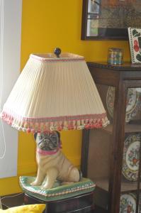 a pug dog sitting on a chair with a lamp at My Rosegarden Guest Rooms in San Francisco