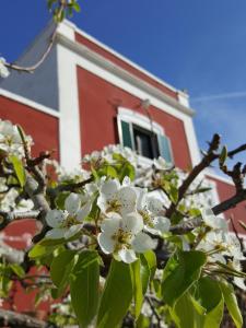 Fotografie z fotogalerie ubytování Masseria Trulli sull'Aia v destinaci Cisternino
