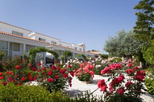 Gallery image of Eliofos Elegant Maisonettes in Polis Chrysochous