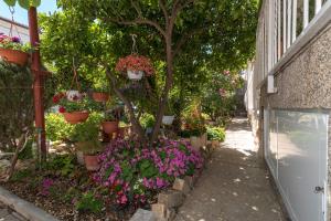 Zahrada ubytování Apartments Mare Trogir