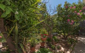 Zahrada ubytování Apartments Mare Trogir