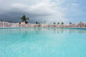 בריכת השחייה שנמצאת ב-Royal Villa, Caymanas Country Club או באזור