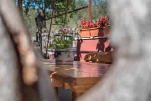 Fotografie z fotogalerie ubytování Apartments Mare Trogir v Trogiru