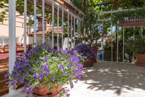 Zahrada ubytování Apartments Mare Trogir