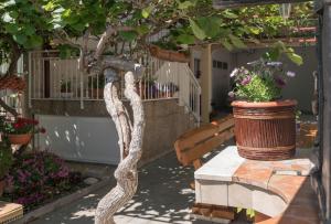 Zahrada ubytování Apartments Mare Trogir