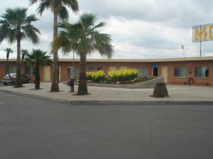 a group of palm trees in front of a motel at Village Inn in Tulare