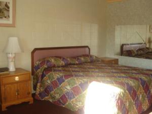 1 dormitorio con cama y mesita de noche con lámpara en Village Inn, en Tulare