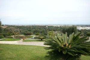 a view of a park with a palm tree at Appartamento Giardinelli - Giulia in Fasano