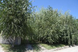 Imagen de la galería de Holiday Home Kućica Na Drvetu, en Banja Koviljača