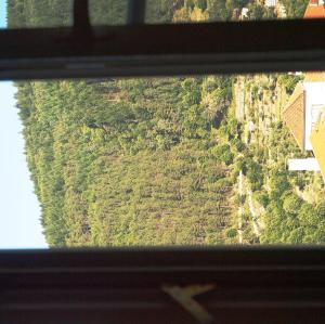 Billede fra billedgalleriet på Estrela i Manteigas