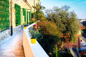 - un balcon avec des fleurs et des plantes dans un bâtiment dans l'établissement Alassio Mare e non Solo, à Alassio