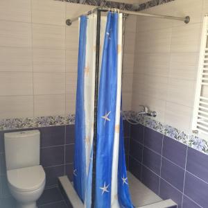 a bathroom with a toilet and a blue shower curtain at Svečių namai in Ryškėnai
