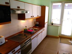 eine Küche mit einer Spüle und einem Herd Top-Backofen in der Unterkunft Dresdner Ferien Apartment in Dresden