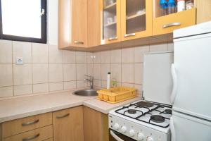 Kuchyň nebo kuchyňský kout v ubytování Apartment Sena