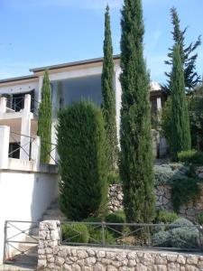 a row of cypress trees in front of a house at The Sea Cottage Apartments in Drage