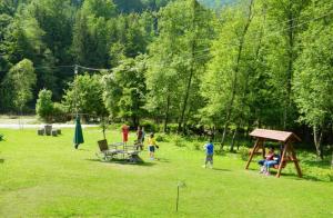 Hosté ubytování Pensiunea Valea Negrasului