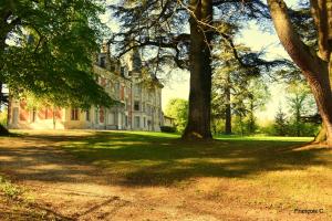 Clădirea în care este situat/ăB&B-ul