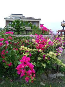 Zahrada ubytování Dragonfly B&B