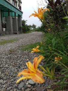 Fotografie z fotogalerie ubytování Dragonfly B&B v destinaci Dazhou