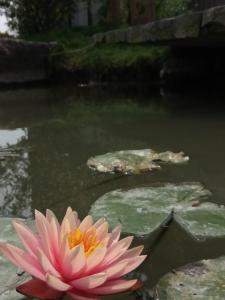 Fotografie z fotogalerie ubytování Dragonfly B&B v destinaci Dazhou