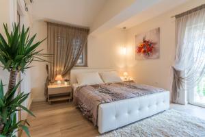 Gallery image of Apartments Anita in Zadar