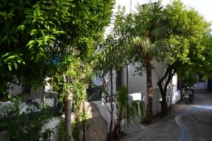 Aed väljaspool majutusasutust Su Hotel - Bodrum